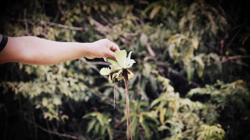 The programs featured image